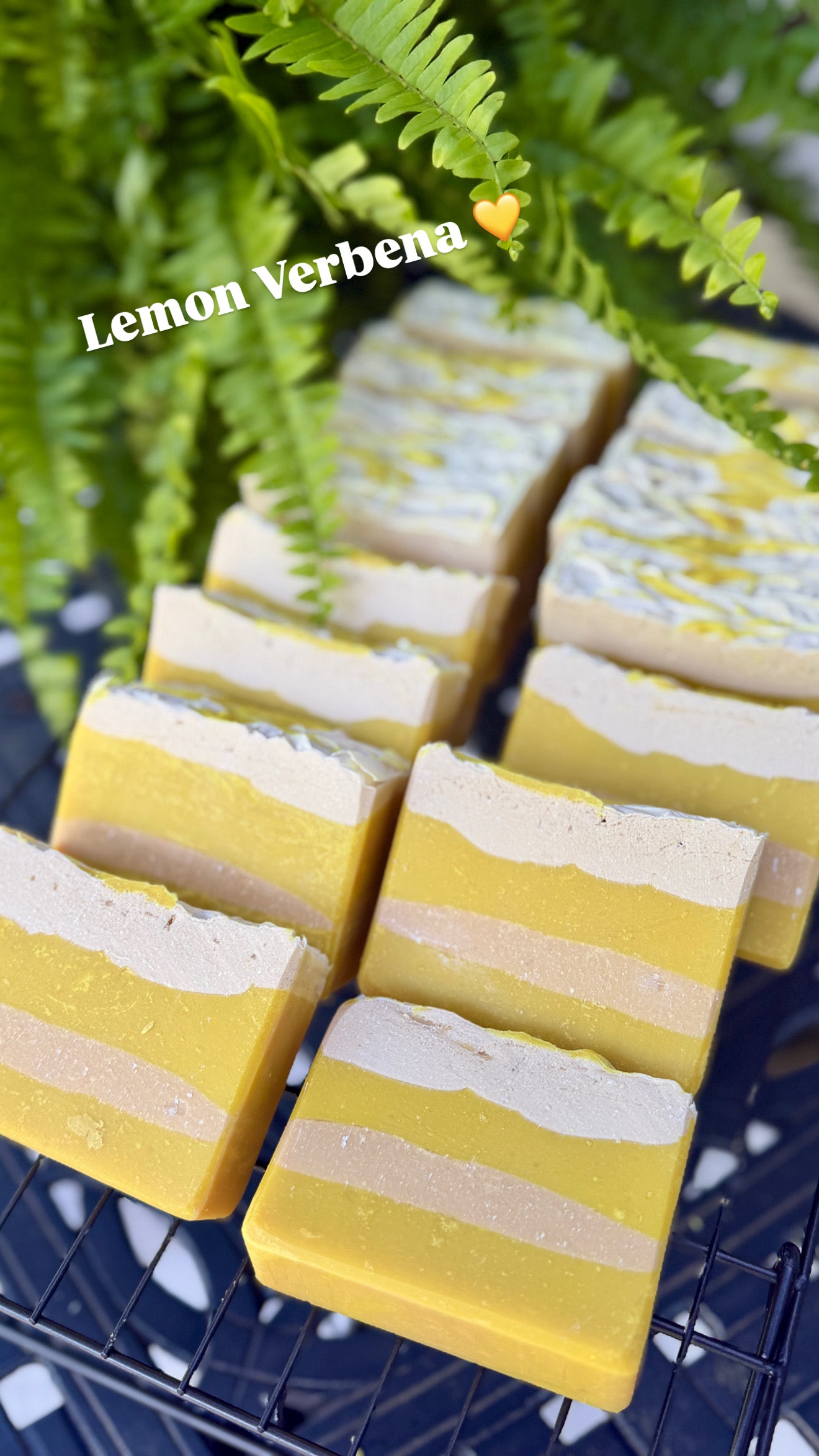 Lemon Verbena