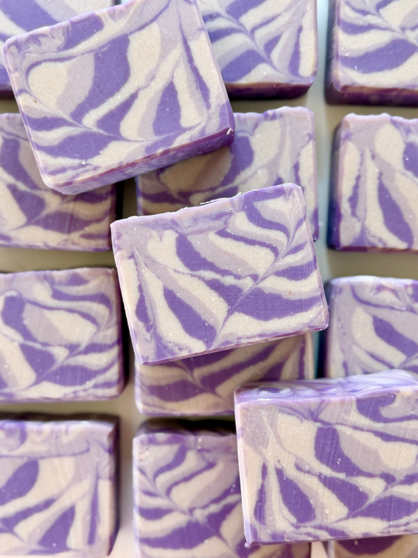Lavender Bloom