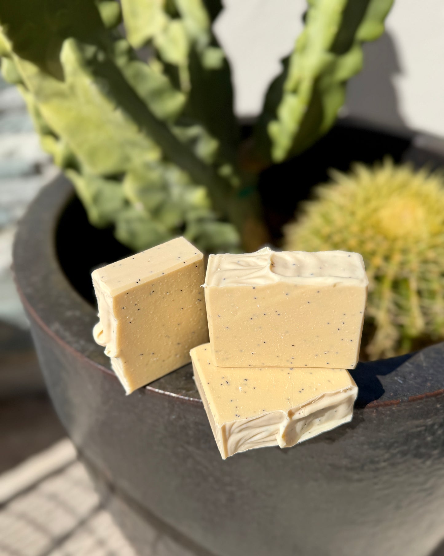 Exfoliating Palo Santo & Mahogany